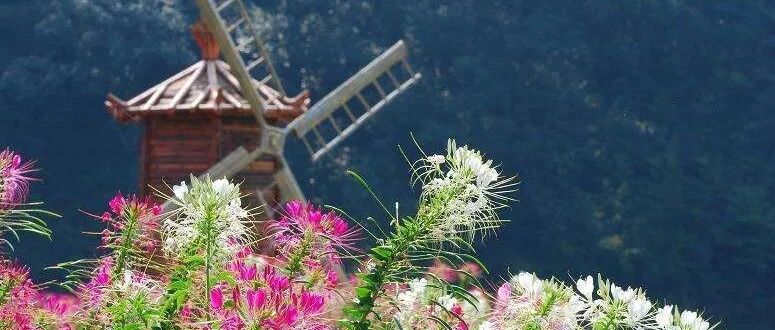 从化石门森林公园+稻香小镇+温泉+重磅美食一天行程（周一至周五出发）