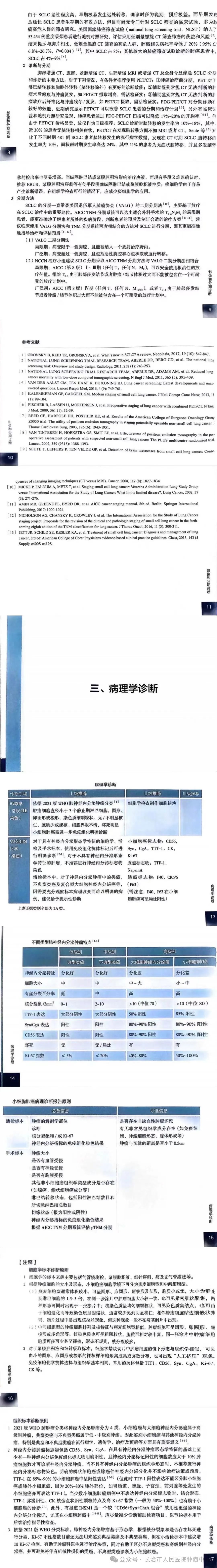 小细胞肺癌csco指南