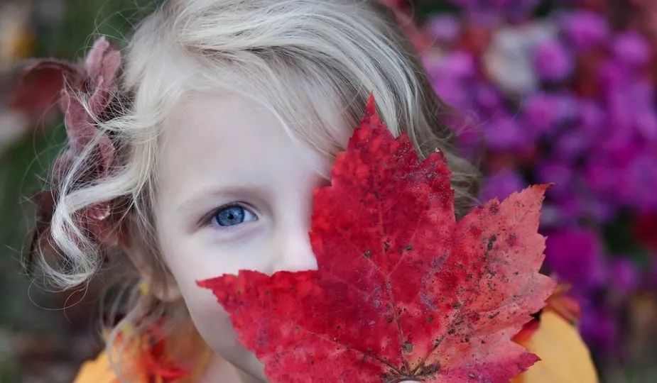 6歲女孩被爸爸活活打死：世界上最可怕的事，就是當父母不用考試 親子 第2張