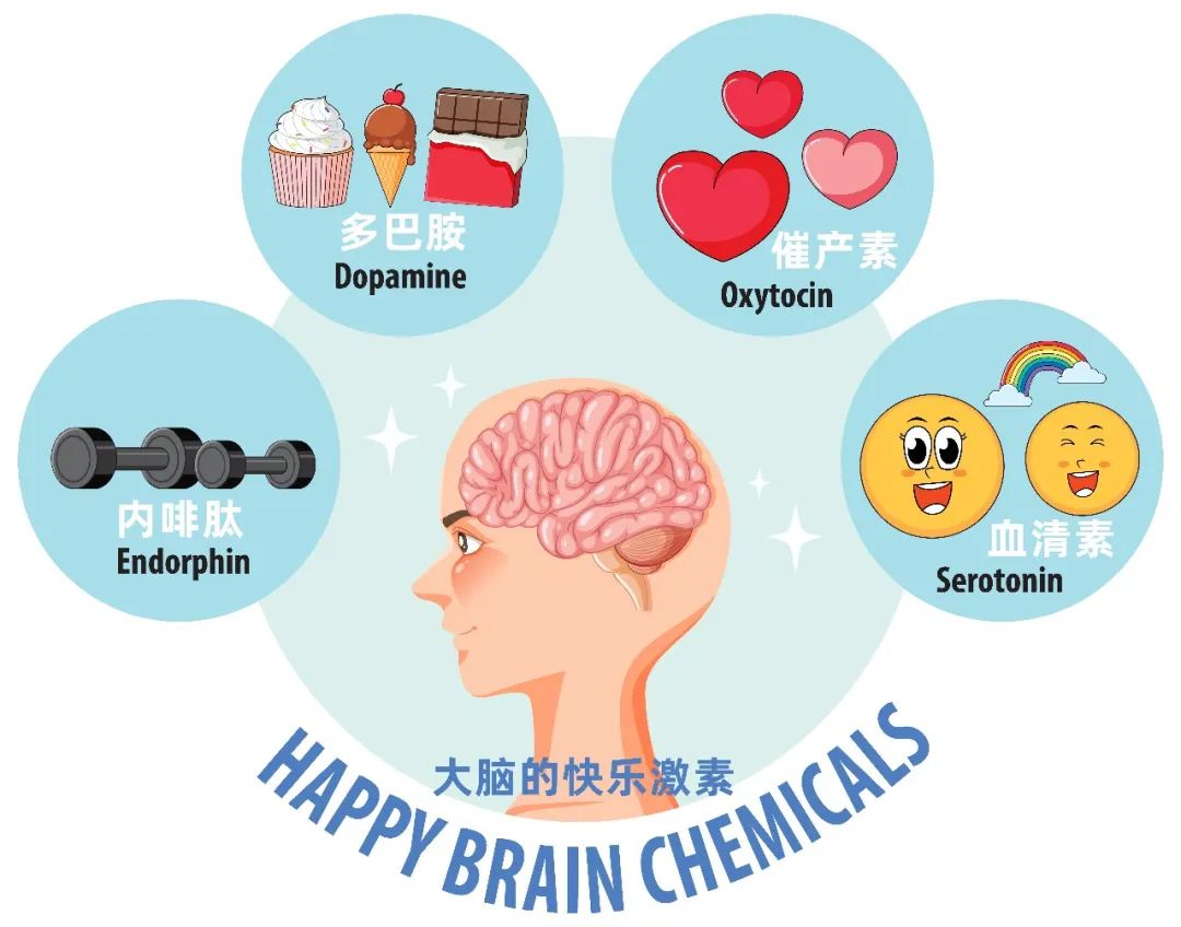 内啡肽才是减肥高级模式