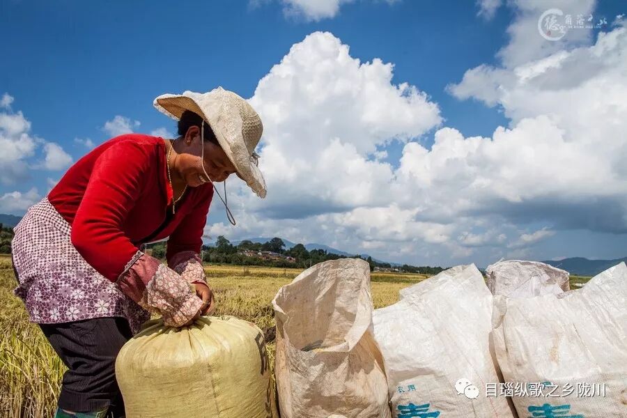 农民丰收节诗词_丰收节是哪一天_中国农民丰收节是哪一天