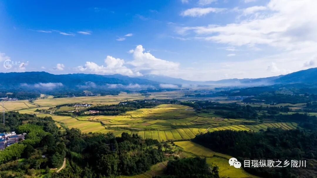 中国农民丰收节是哪一天_农民丰收节诗词_丰收节是哪一天