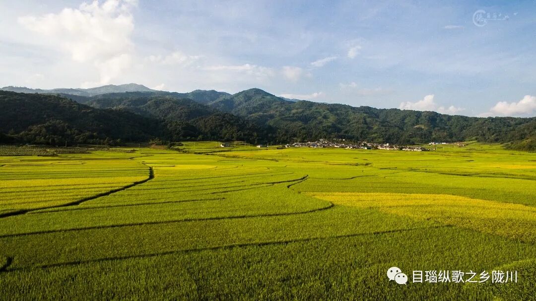 中国农民丰收节是哪一天_丰收节是哪一天_农民丰收节诗词