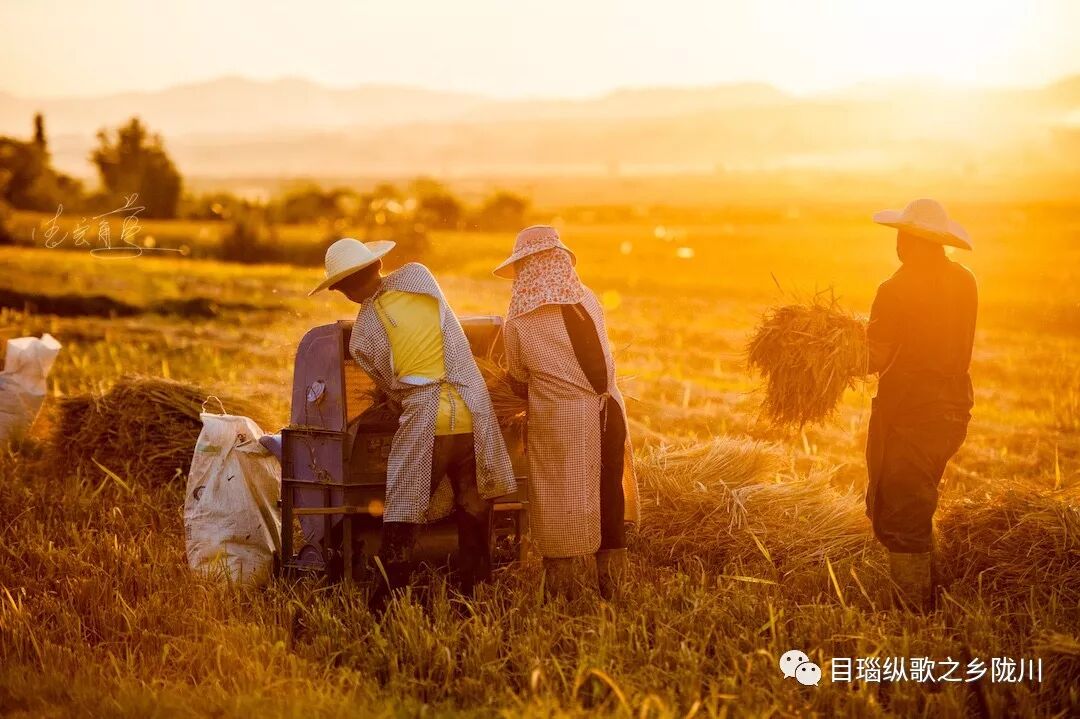 中国农民丰收节是哪一天_农民丰收节诗词_丰收节是哪一天