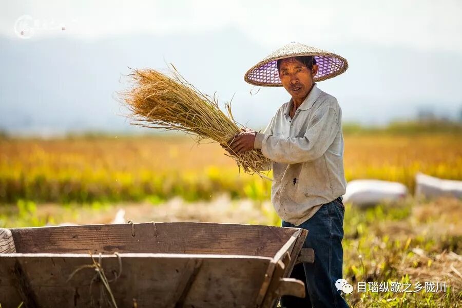 中国农民丰收节是哪一天_农民丰收节诗词_丰收节是哪一天