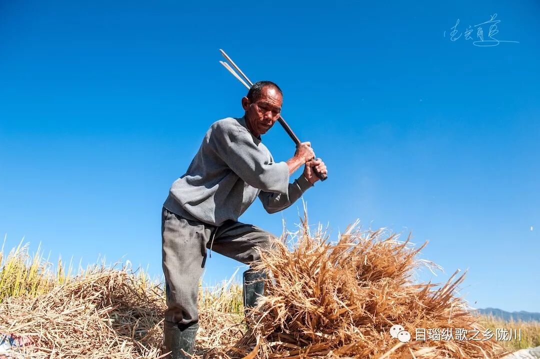 丰收节是哪一天_中国农民丰收节是哪一天_农民丰收节诗词