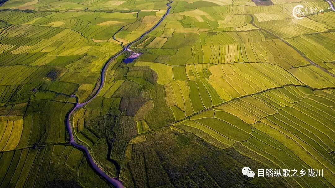 丰收节是哪一天_中国农民丰收节是哪一天_农民丰收节诗词