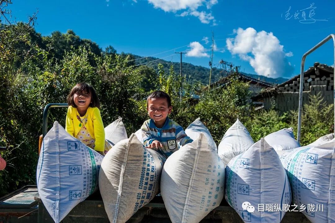 中国农民丰收节是哪一天_农民丰收节诗词_丰收节是哪一天