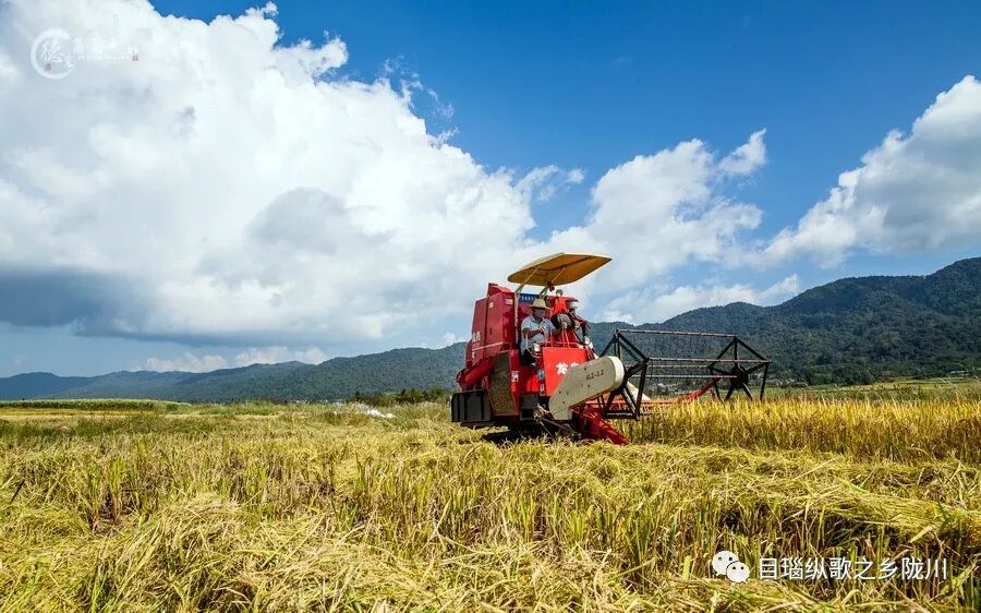 中国农民丰收节是哪一天_丰收节是哪一天_农民丰收节诗词