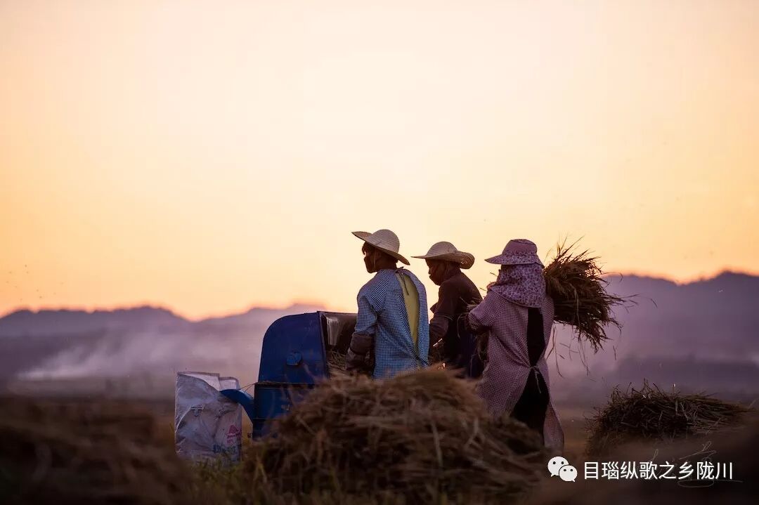 农民丰收节诗词_中国农民丰收节是哪一天_丰收节是哪一天