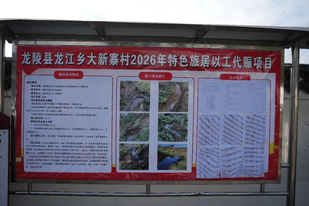 龙江这个项目开工，让217名村民“当家”__龙江这个项目开工，让217名村民“当家”
