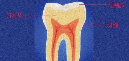 牙齿脱敏怎么收费【免费脱敏治疗】关于牙齿敏感，你都了解什么？_https://www.jmylbn.com_新闻资讯_第2张