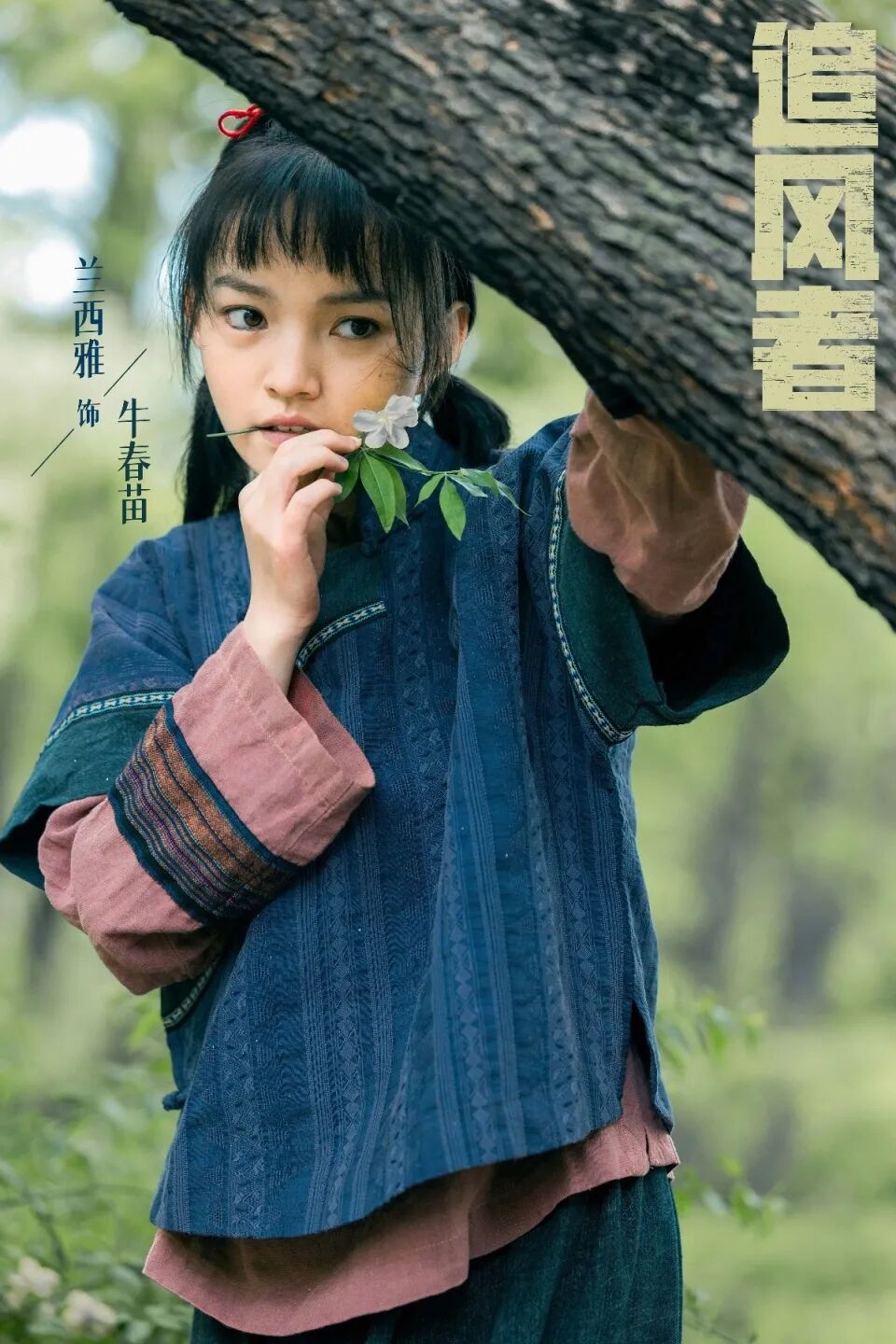 这居然是兰西雅