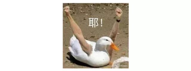 论带货王，我只服抖音！！