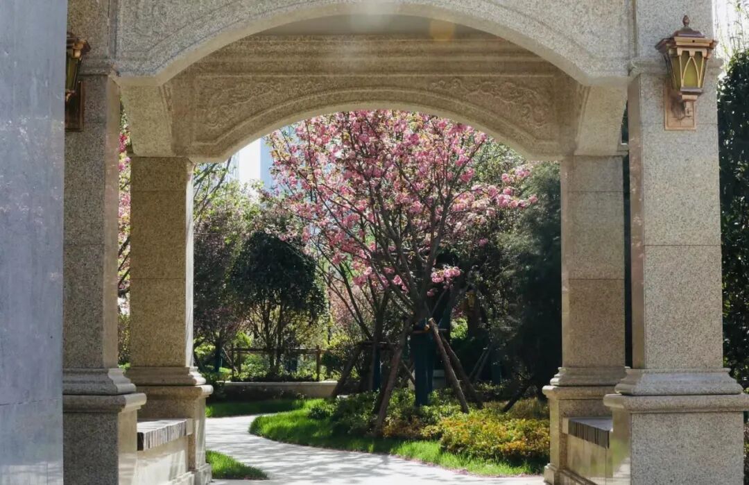 金域华庭业主全方位检视新家-楼市动态-日照置业网