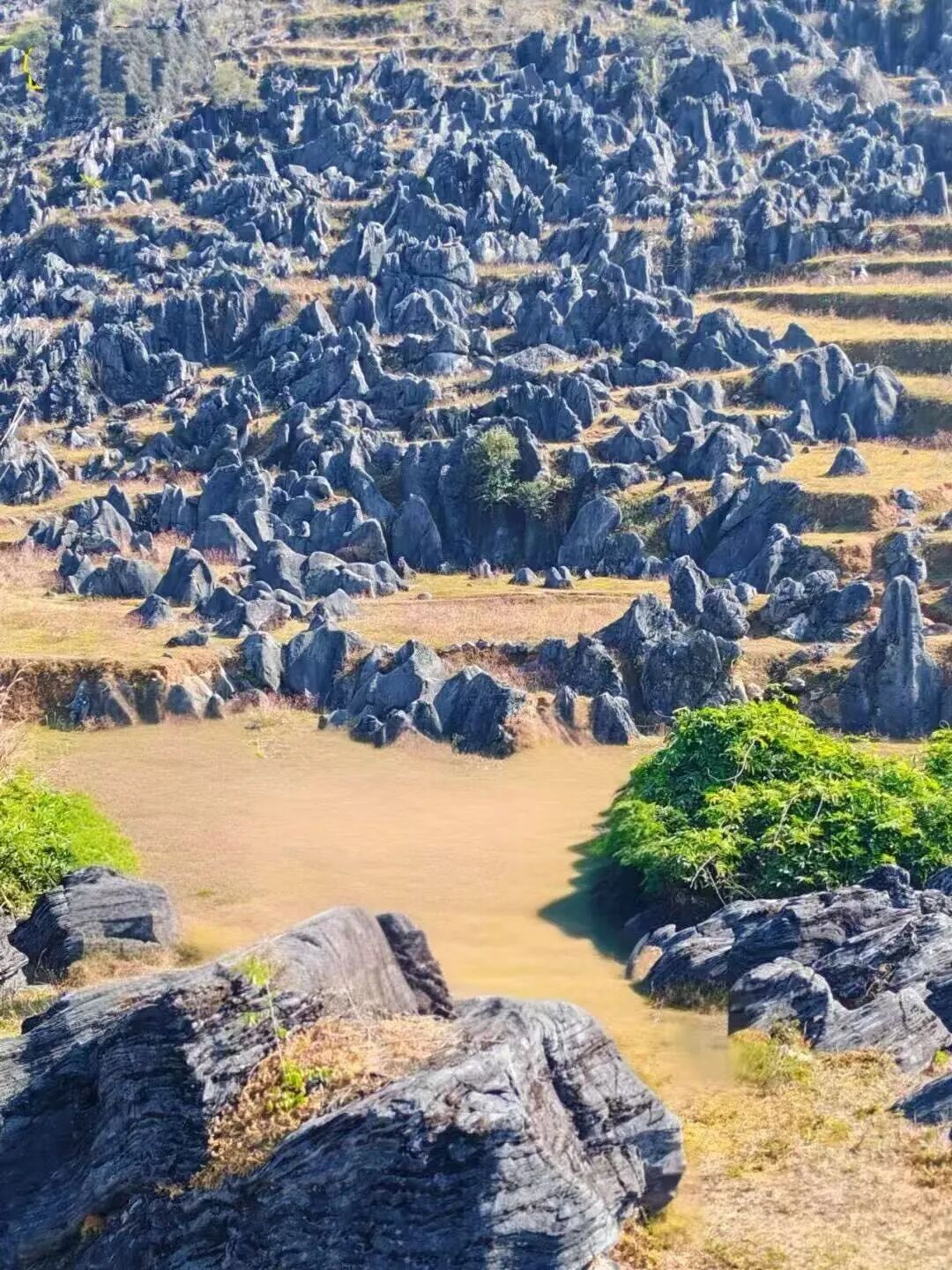 梅子坪古道。网络图