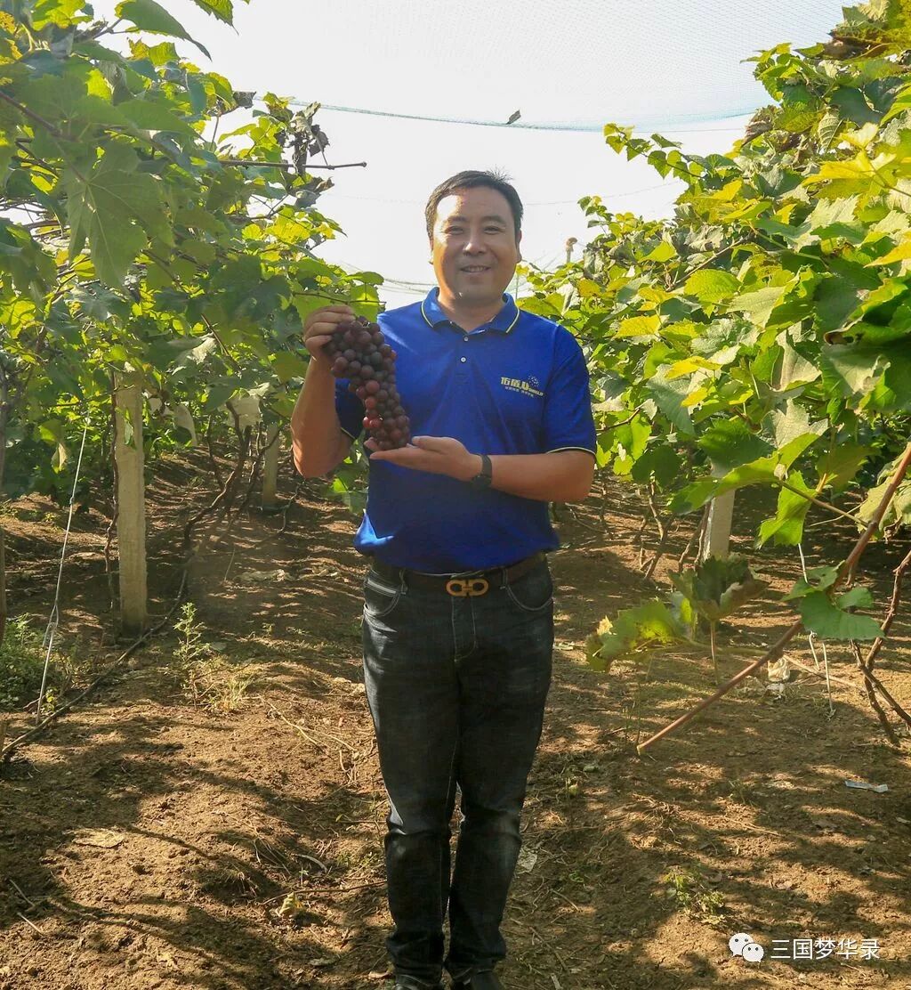 中國農民豐收節