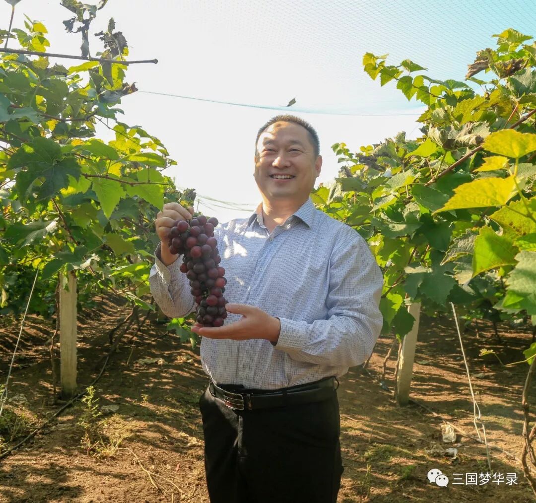 中國農民豐收節