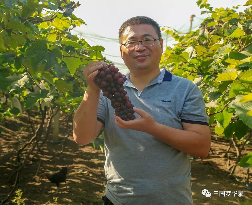 中國農民豐收節