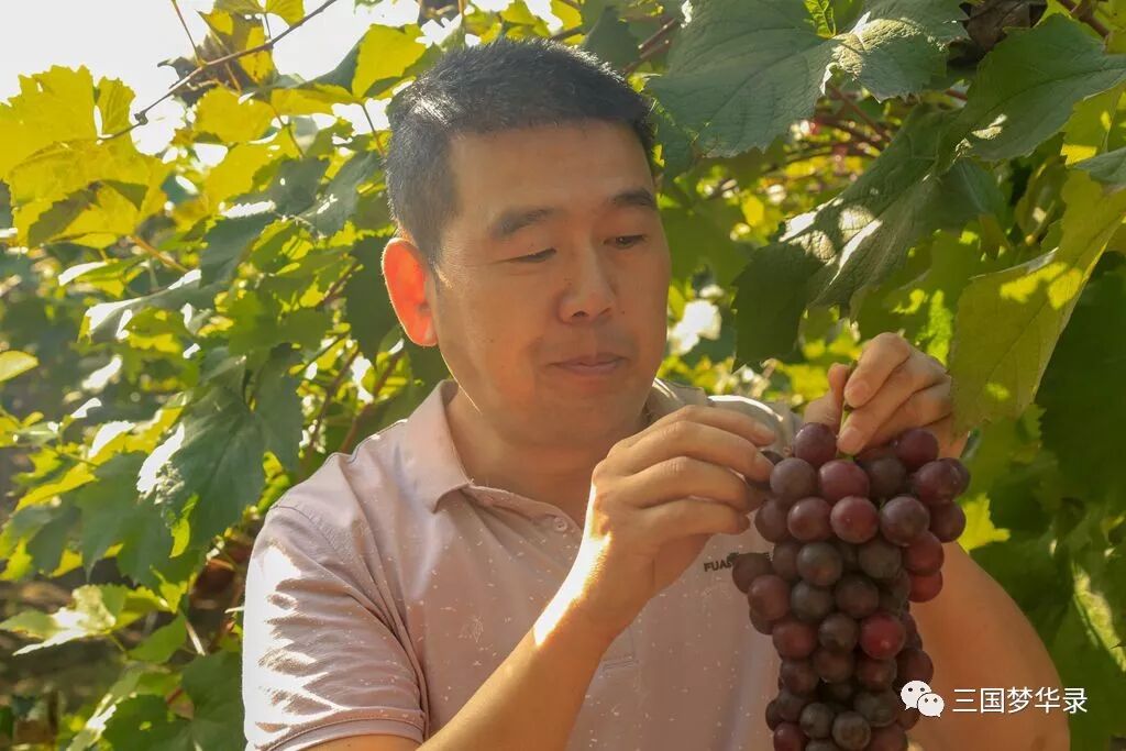 中國農民豐收節