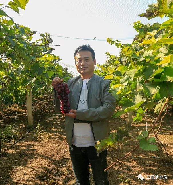 中國農民豐收節