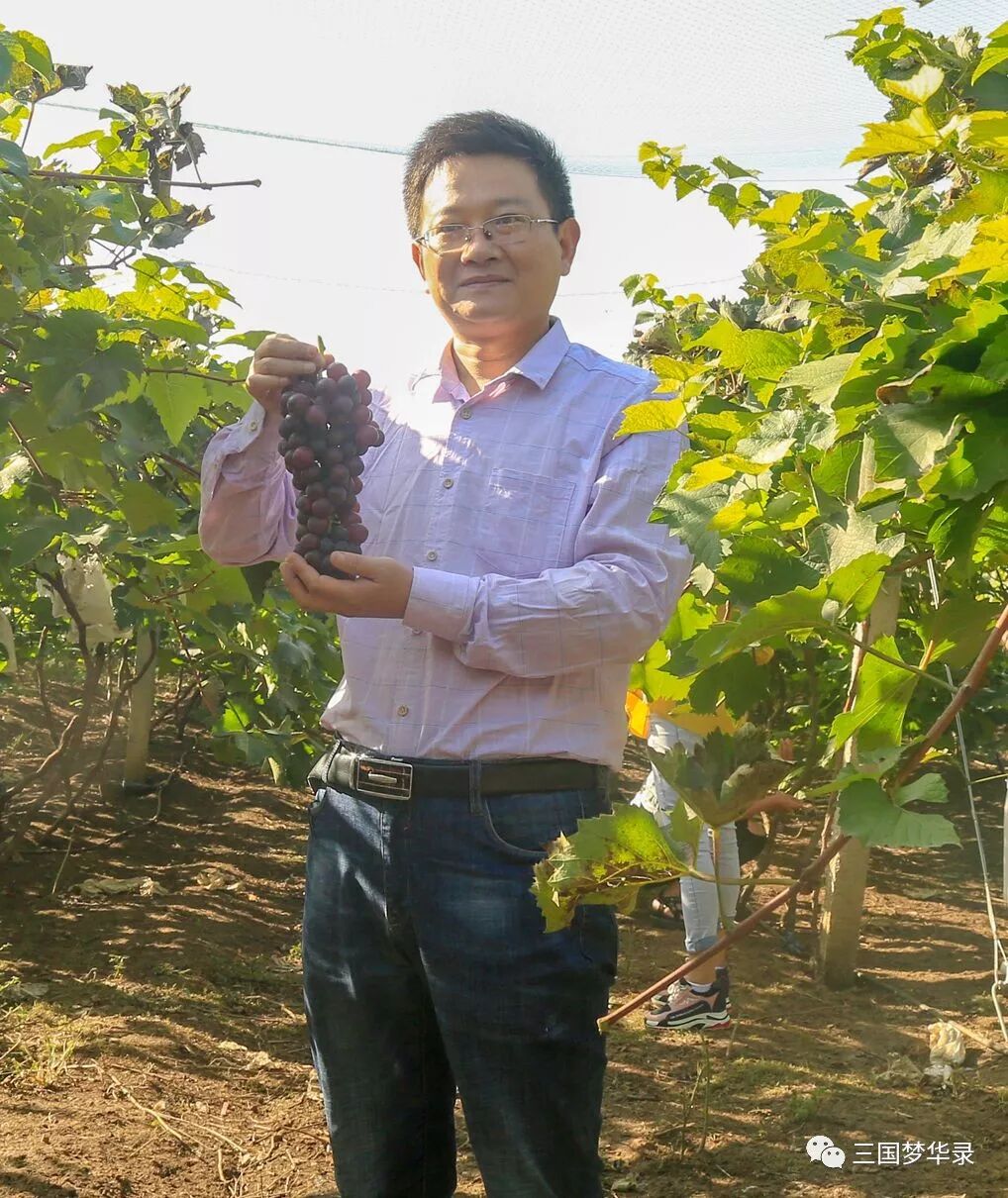 中國農民豐收節