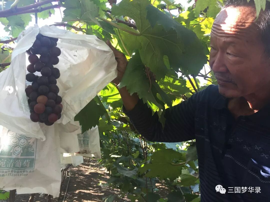 中國農民豐收節