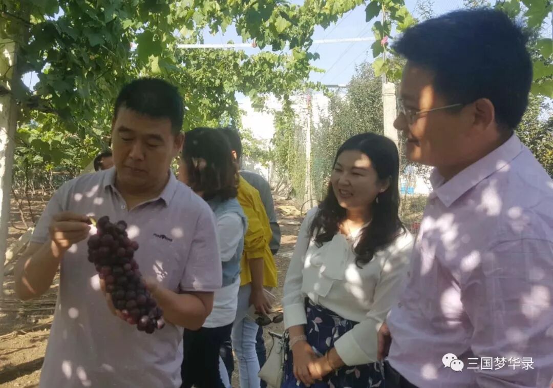 中國農民豐收節