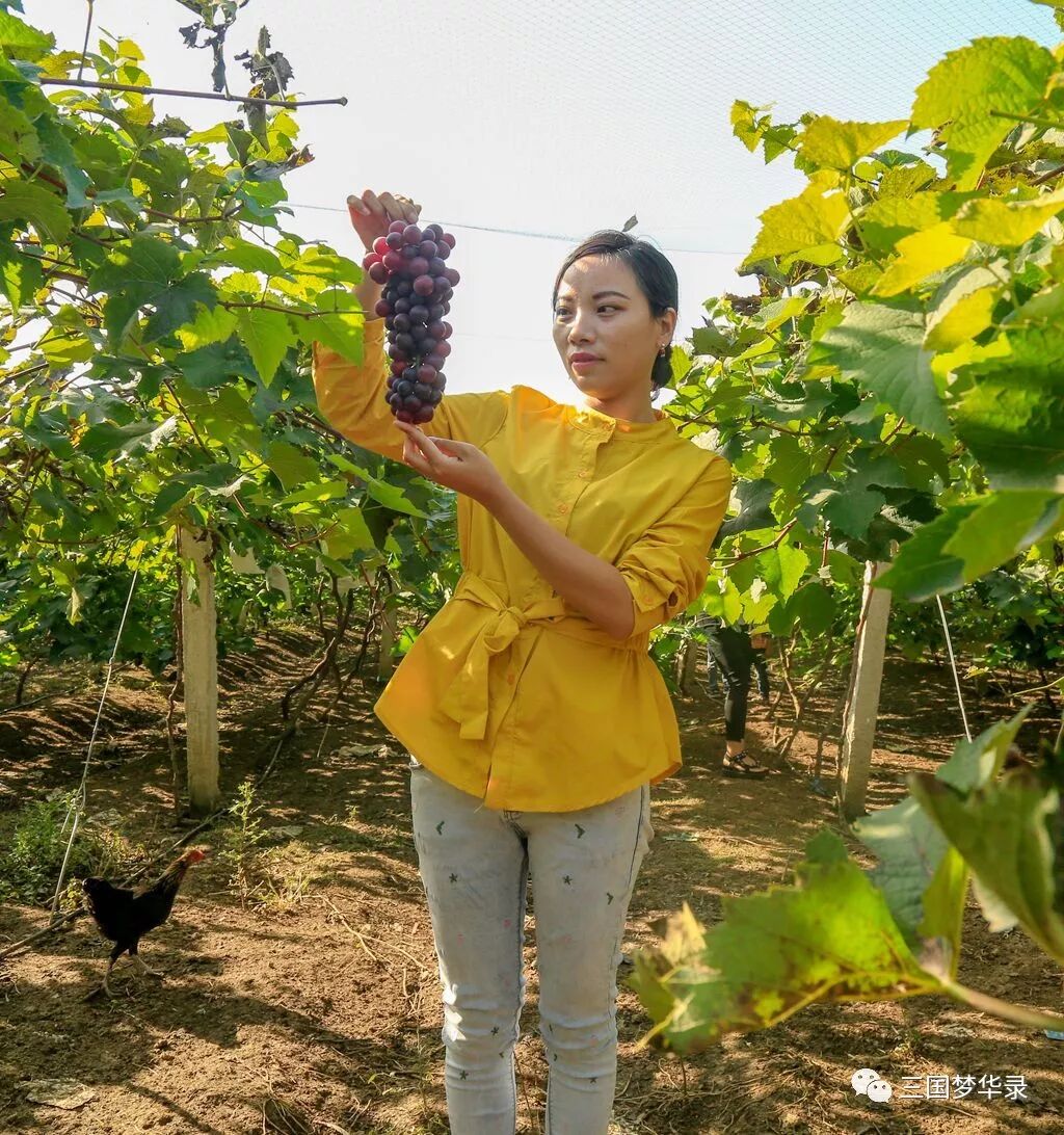 中國農民豐收節
