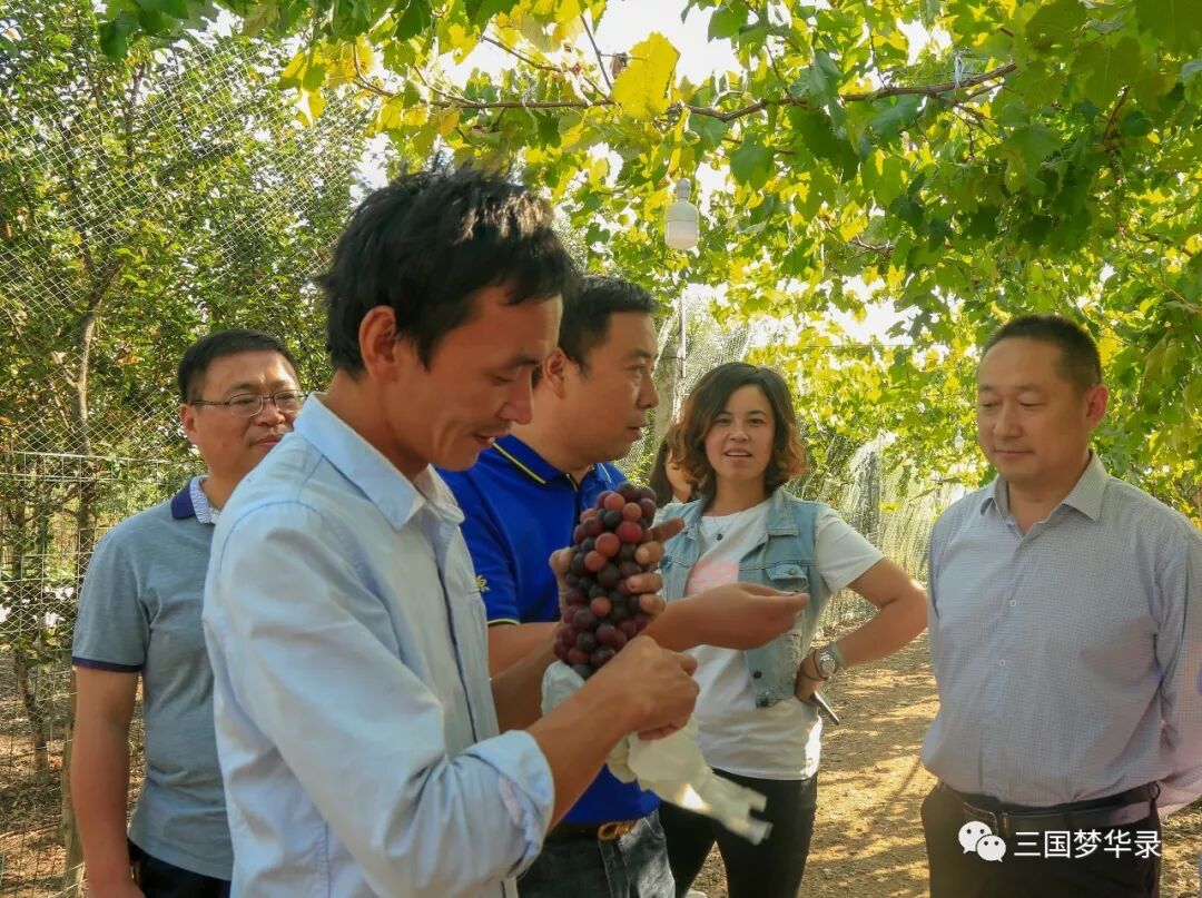 中國農民豐收節