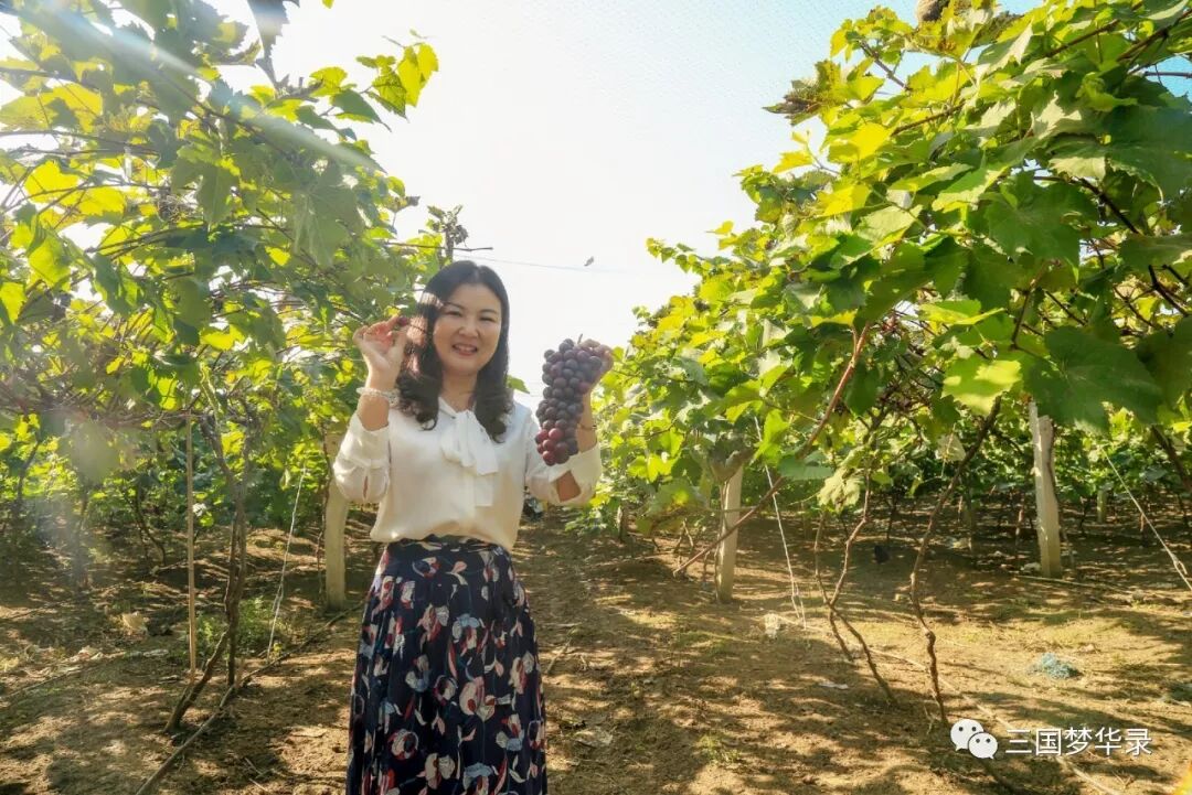 中國農民豐收節