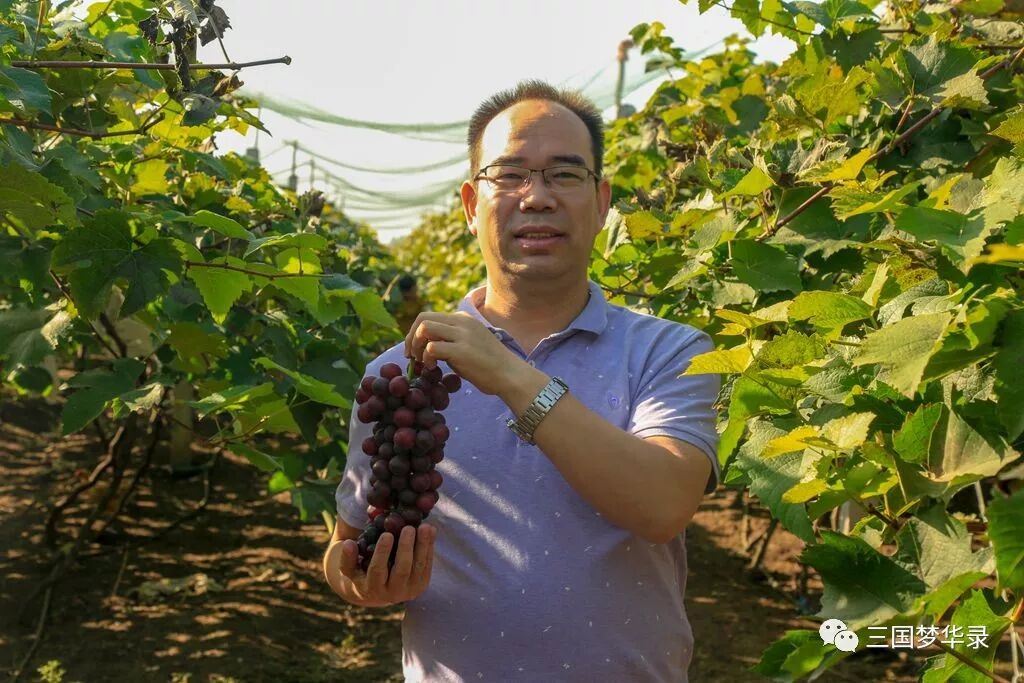 中國農民豐收節