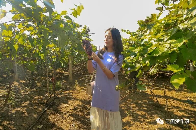 中國農民豐收節