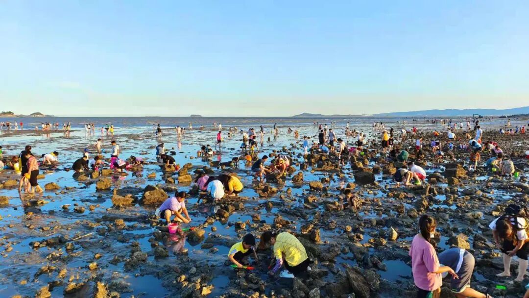 上玩耍厦门环岛路海边出现赶海大军上个周末正逢难得一遇的海水低潮!