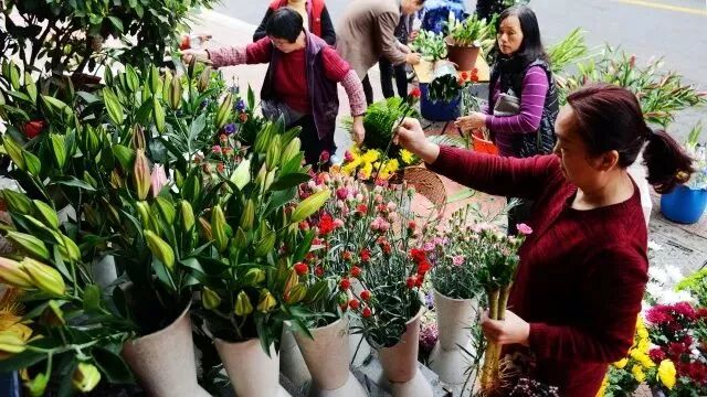 过年家里摆什么花好？春节买花指南！拿走不谢…