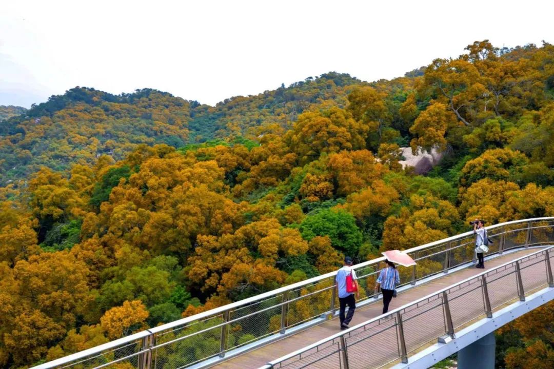 2024年05月09日 厦门天气