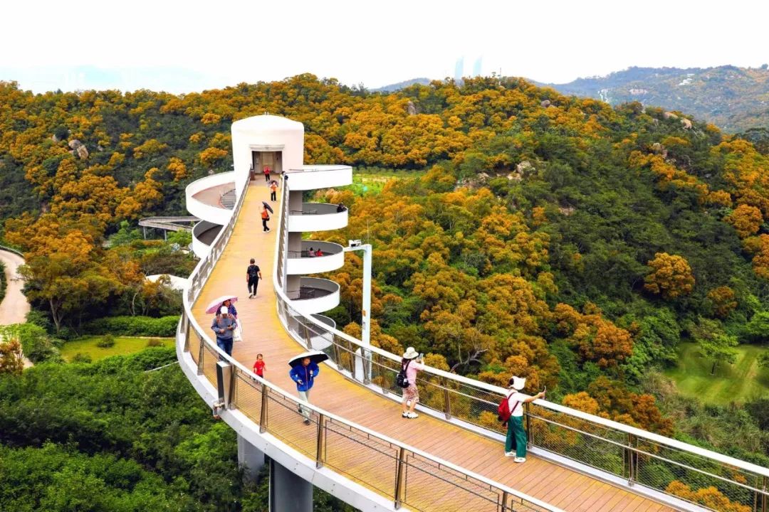 2024年05月09日 厦门天气