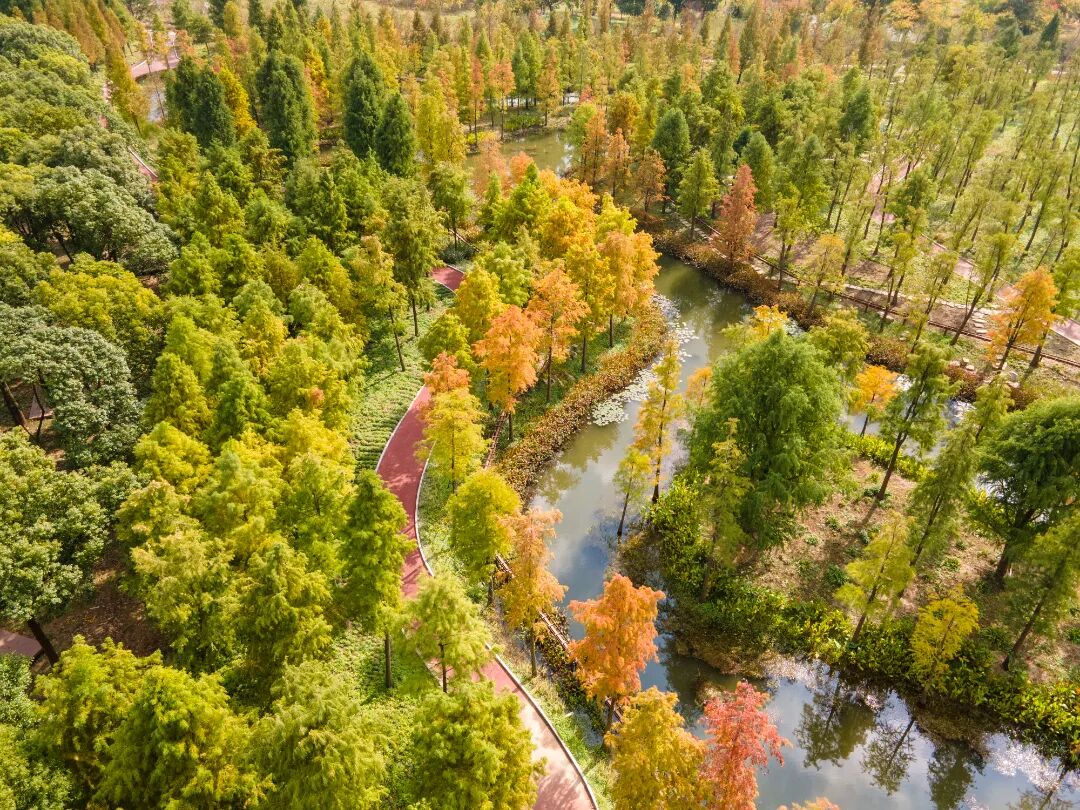 南通新增一个网红景点洲际梦幻岛