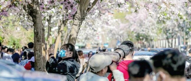 天津哪些景点最火?被刷屏!赏花逛集攻略……错过再等一年!