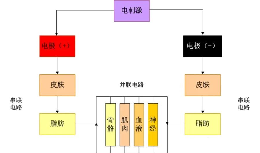 中频为什么可以消炎【设备介绍】消炎镇痛效果好——中频电治疗仪_https://www.jmylbn.com_新闻资讯_第3张