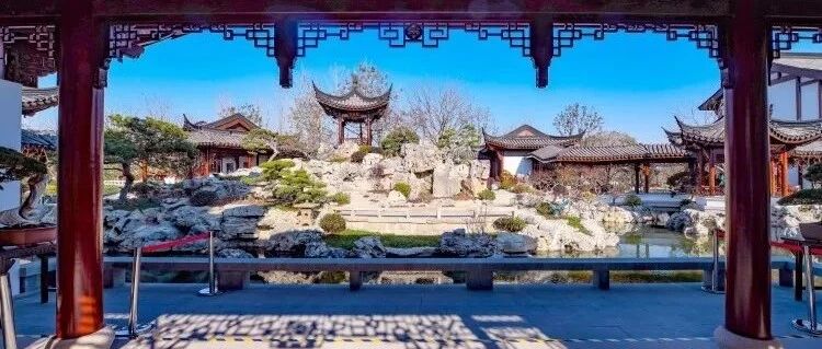 惺惺有盘石，应记主人公 | 松庐