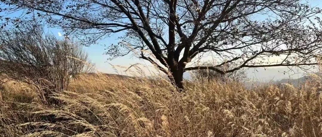 孟郊登科 | 李翰