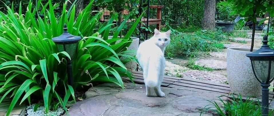 写给山本小队长 | 孙莺