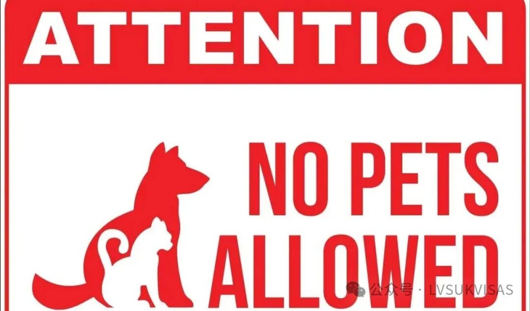 No Pets Signs No Pets Allowed No Dogs Allowed Sign Poster F Template No  Weenies Allowed Sign