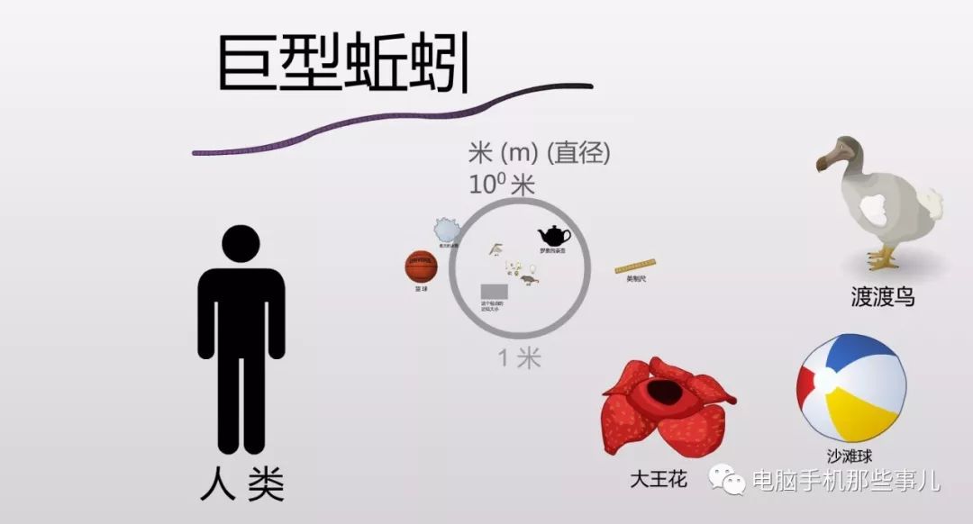 一个神奇的网站：从微生物到星球，整个宇宙尽收眼底！