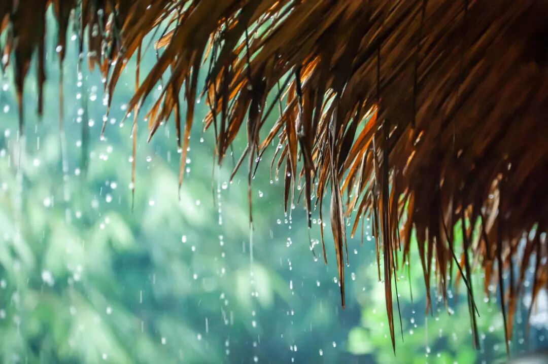 警惕皮肤"梅雨病"