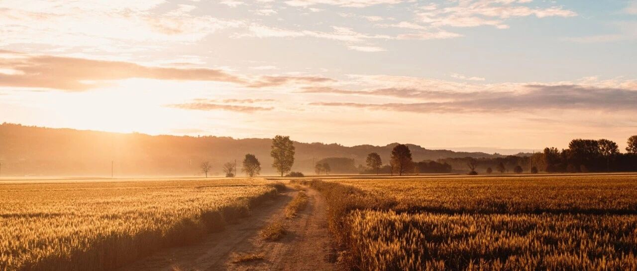 习近平在纪念辛亥革命110周年大会上的讲话