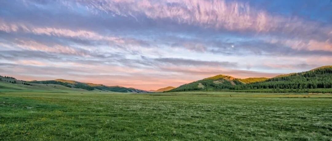 郭树清主持召开调研座谈会 研究金融资产管理公司如何聚焦主业 积极参与中小金融机构改革化险