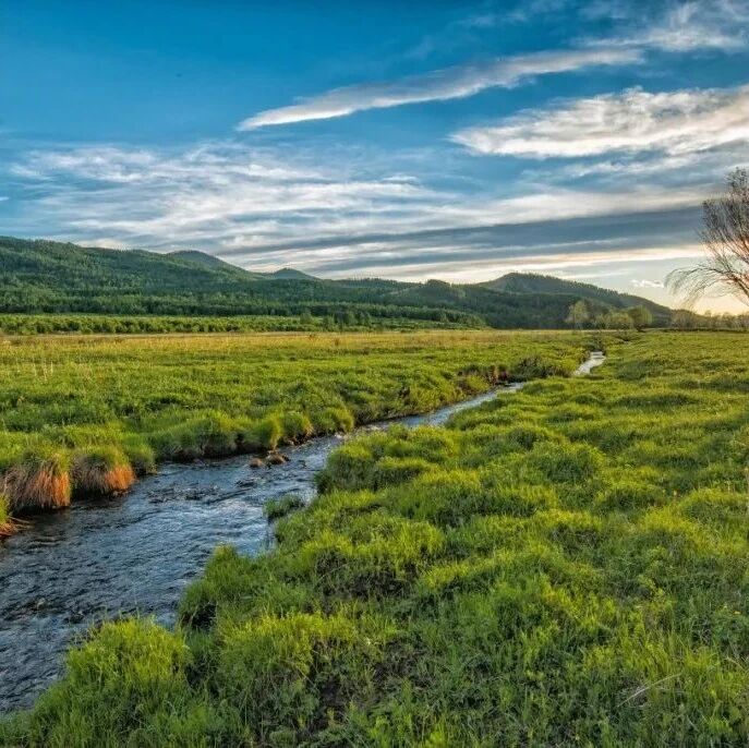 全文实录！郭树清同志出席国新办新闻发布会