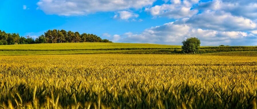 信贷投放力度持续加大 百亿金融债力挺农田建设 金融活水加速流入乡村振兴重点领域